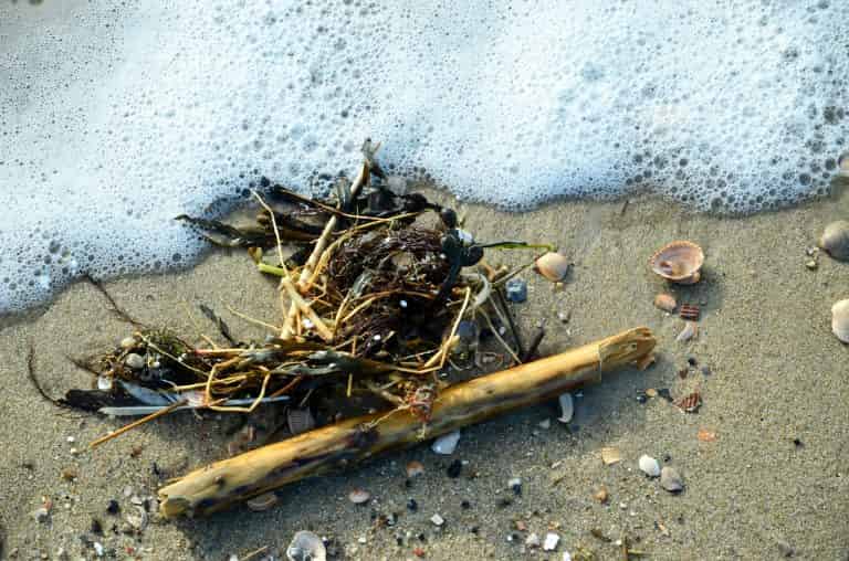 Family protected by insurance